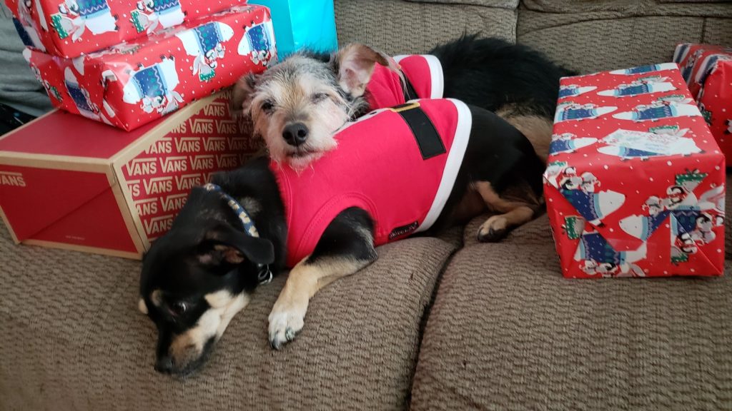 Christmas Morning (Click for more)